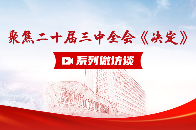 聚焦二十届三中全会《决定》丨微访谈