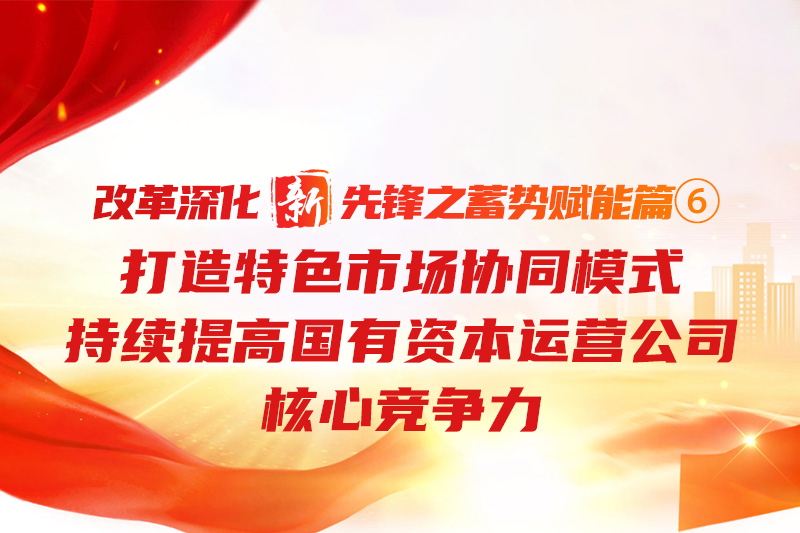 鼎新深入“新”前锋之蓄势赋能篇⑥丨打造特色市场协同模式 持续提高国有本钱运营公司主题竞争力