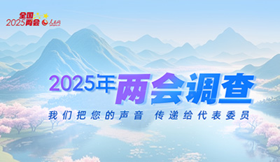 2025年两会调查