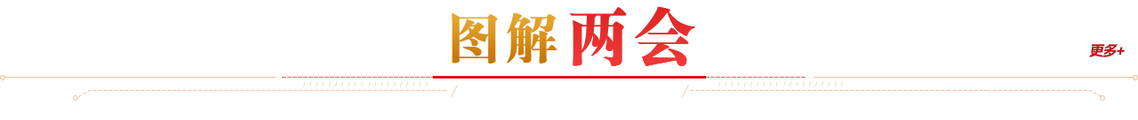 ico03